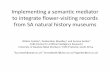 Implementing a semantic mediator to integrate flower ... · Implementing a semantic mediator to integrate flower-visiting records from SA natural history museums Willem Coetzer1,