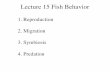 Lecture 15 Fish Behavior...Learning & Cognition • Change in behavior based on experience – e.g., Habituation, Imprinting, Conditioning: Pavlov • Cognition – The connection