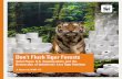 Don’t Flush Tiger Forestsassets.worldwildlife.org/publications/39/files/original/Don't_Flush_Tiger_Forests...Protecting Sumatra’s tropical rain forests is vital for saving these