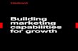 Building marketing capabilities for growth...Insights, data, analytics Brand purpose and experience strategy Building skills, standards, tools Integrating the silos Enabling coherence
