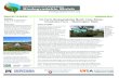 Report No. TA 2018-02 September 2018 Authors: On …...2018/09/14  · On-Farm Biodegradable Mulch Case Study: Cloudview Farm – Washington StateJessica Farm Profile Cloudview Farm,