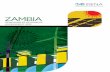 Renewables Readiness Assessment: Zambia · 2015-01-08 · RENEWABLES READINESS ASSESSMENT V FOREWORD Zambia joins the rest of the developing world, and in particular Africa, in taking
