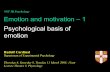 NST IB Psychology Emotion and motivation – 1 Psychological …egret.psychol.cam.ac.uk/psychology/2002-3/SLIDES_1B... · 2003-11-13 · Rudolf Cardinal Department of Experimental