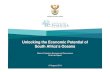 Unlocking the Economic Potential of South Africa’s Oceans...governance framework for sustainable growth of the ocean economy that will maximise socio-economic benefits while ...