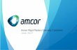 Amcor Rigid Plastics Specialty Containers › AsxDownload.aspx?pdfUrl=Report › ComNe… · Amcor Rigid Plastics - Specialty Containers 04 Safety Highlights 7.2 4.6 . 3.91 4.05 .
