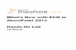What’s New with ECM in SharePoint 2013 Hands-On Lab · In SharePoint 2013, there are new ECM features that help you keep your personal space organized. These features, such as the