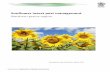 Sunflower insect pest management - IPM Guidelines For Grains › wp-content › ... · Entomologists. DAFF and GRDC funding for the IPM Workshops project (DAQ00179) has assisted therationprepa