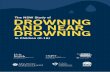 The NSW Study of DROWNING AND NEAR DROWNING · 2016-02-03 · 2 van Beeck, EF, et al. (2005) A new definition of drowning: towards documentation and prevention of a global public
