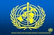 WHO | World Health Organization - Department of Ethics, Trade, … · Department of Ethics, Trade, Human Rights and Health Law, World Health Organization II. Some Fundamental Ethical