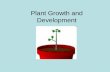 Plant Growth and Development - Sciencepoint Cafemacsciencecafe.weebly.com › uploads › 3 › 9 › 8 › 0 › 39808139 › 04...Plant Growth and Development • Growth = irreversible