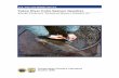 Yukon River Coho Salmon Genetics Report › ... › fish › Technical_Reports › t_2006_93.pdfYukon River drainage; and 2) provide preliminary estimates of the power of genetic data