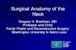 Surgical Anatomy of the Neck - jriegermd.comjriegermd.com/Sugery diagrams/PASE Anatomy of the Neck.pdfSurgical Anatomy of the Neck Gregory H. Branham, MD Professor and Chief ... Cervical