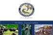 Wildlife Conservation - Mass.Gov › files › documents › 2017 › 09 › 15... · PDF file Wildlife Conservation . Wildlife Conservation is the wise sustainable use of natural