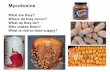 Mycotoxins › blogs.uoregon.edu › dist › c › ... · 2014-11-07 · Mycotoxicosis: poisoning caused by fungal toxins in foods Mycotoxins are produced by some of the most common