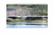 Pictures Taken by Brenda Richardson of the retention pond ... › images › PDF › Brigh… · Pictures Taken by Brenda Richardson of the retention pond behind her house . Author: