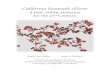 CALIFORNIA SEAWEEDS eFLORAucjepstest.berkeley.edu/CPD/CA_seaweeds_eflora.pdf · drilling, mariculture and global marine transportation. Habitats for seaweeds, especially in southern