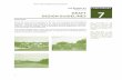 May DRAFT DESIGN GUIDELINES - Canterbury design guidelines - 7.pdfNew England Village Character – The design for Canterbury Village Center is intended to support and complement an