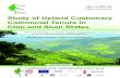 Study of Upland Customary Communal - Burma Library · The research on customary communal tenure in Chin and Shan States was carried out through two short site visits during 2013-14