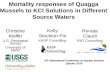 Mussels to KCl Solutions in Different Source Waters › pdf › 2016abstracts › ICAIS Wednesday PM Se… · after KCl addition Metals Profile of Water Sources Water and Treatment