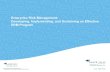 Enterprise Risk Management: Developing, Implementing, and ...€¦ · Why ERM: The Value Proposition There are several reasons why an organization should consider implementing an