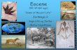 Eocene - notendur.hi.is Geology pdf... · and the North Atlantic (Iceland) hotspot during early Tertiary (65-60 MY) The Deccan Traps are one of the largest volcanic provinces in the