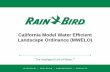 California Model Water Efficient Landscape …...MWELO Irrigation Design Plan (492.7) Landscape water meters are required for: – Non-residential landscapes between 1,000 and 5,000