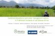 Combined phosphorus and water management …ipbo.vib-ugent.be/wp-content/uploads/2018/09/De-Bauw...Combined phosphorus and water management options in P-deficient lowlands of sub-Saharan