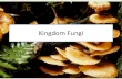 Kingdom Fungi · 2016-12-13 · Key characteristics • These characteristics define Kingdom Fungi – Both unicellular and multicellular – Unicellular are yeast cells – Multicellular