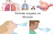 Sistem organa za disanje - WordPress.com · Sistem organa za disanje. Uloge organa za disanje: • Transport kiseonika iz vazduha do pluća, i iz ... Bez obzira na tip organa za disanje.