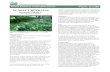 Scarlet beebalm (Monarda didyma) Plant Guide · Web viewPlant Guide for scarlet beebalm (Monarda didyma). USDA-Natural Resources Conservation Service, Appalachian Plant Materials