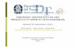 TEMPORARY JOB PROTECTION AND PRODUCTIVITY …...Outline of the presentation Literature Review and Hypotheses Differences in labour productivity and TFP growth rates (country-sectoral