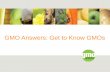 GMO Answers: Get to Know GMOs · GMOs are crops developed with genetic engineering, a more precise breeding technique, that enables someone to take individual traits found in nature