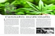 Cannabis medicinalisfiles.konopnadoktorka.webnode.cz/200000013-191bc1a190/NR2... · 2014-11-29 · Cannabis medicinalis text: MUDr. Jana Budařová foto: archiv autorky, Shutterstock.com