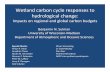 Wetland(carbon(cycle(responses(to( hydrological(change:((co2.aos.wisc.edu/~adesai/documents/SulmanDefensetalk.pdf · Peatland(carbon(is(vulnerable(to(climate(and(hydrological(change(LETTERS100