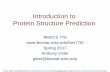 Protein Structure Prediction - UW–Madison · 2020-01-19 · Determining Protein Structures • Protein structures can be determined experimentally (in most cases) by –x-ray crystallography