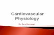 Cardiovascular Physiology - Bayside Inndrmanatomy.weebly.com/.../18_-_cardiovascular_physiology.pdfCardiac cycle: a complete heartbeat consisting of contraction (systole) and relaxation