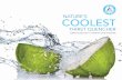 nature’s coolest...KeePs the LiVer heaLthy a detox helps rid your body of toxic substances – many foods and beverages in our modern diet are loaded with preservatives, additives