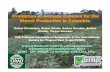 Evaluation of Altitude Cassava for the Starch Production ... · Giraldo, Teresa Sanchez Evaluation of Altitude Cassava for the Starch Production in Colombia. 15th Triennial International