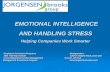 EMOTIONAL INTELLIGENCE AND HANDLING STRESS€¦ · AND HANDLING STRESS Helping Companies Work Smarter. Goals For Today Understand emotional intelligence, and it’s importance to