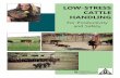 LOW-STRESS CATTLE HANDLING · Welcome to Low-Stress Cattle Handling The Agricultural Health and Safety Network has promoted Low-Stress Cattle Handling practices for over 20 years.