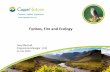 Fynbos, Fire and Ecology...Fynbos, Fire and Ecology Tony Marshall Programme Manager : ICM 21 July 2016 1. The Fire Paradox USA - Global Fire Initiative Integrated Fire Management is
