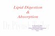 LIPID DIGESTION & ABSORPTION Clinical Clinical Biochemistry Department Biochemistry Department Govt. Medical College Surat. Digestion of lipids The major dietary lipids Triacylglycerol