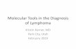Molecular Tools in the Diagnosis of LymphomaMALT lymphoma • Marginal zone (Mucosa associated lymphoid tissue) lymphoma –Low grade B-cell lymphoma –Some relationship to underlying
