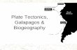 Plate Tectonics, Galapagos & BiogeographyPlate Tectonics Define… Lithosphere Theory of massive crustal rearrangement based on the movement of continent-sized lithospheric plates.
