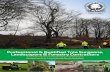 Professional & Qualified Tree Surgeons, Landscapers ... · Landscapers & Forestry Contractors ... South Lakes Tree Surgeons & Landscapes Limited was established in 1989, and is based