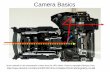 Camera Basics · camera shake is to take the reciprocal of the 35 mm equivalent focal length of the lens. For example, at a focal length of 125 mm on a 35 mm camera, vibration or