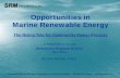 Opportunities in Marine Renewable Energysrmprojects.ca/.../04/SRD-Presentation-2Apr2014.pdf · A Presentation for the Strathcona Regional District April 2014. By Scot Merriam, P.Eng.