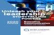 Unleash your leadership - Articulation · entrepreneur, marketer, and public speaker “Marketing is no longer about the stuff that you make, but about the stories you tell.” Executive