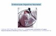 Endoscopia Digestiva Neonatal - SAPStress induced gastric mucosal lesions in neonatal intensive care unit patients. Crit Care Med 1997:25:346–51. Endoscopia Digestiva Alta Neonatal