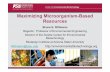 Maximizing Microorganism-Based Resources · Maximizing Microorganism-Based Resources Bruce E. Rittmann Regents’ Professor of Environmental Engineering Director of the Swette Center